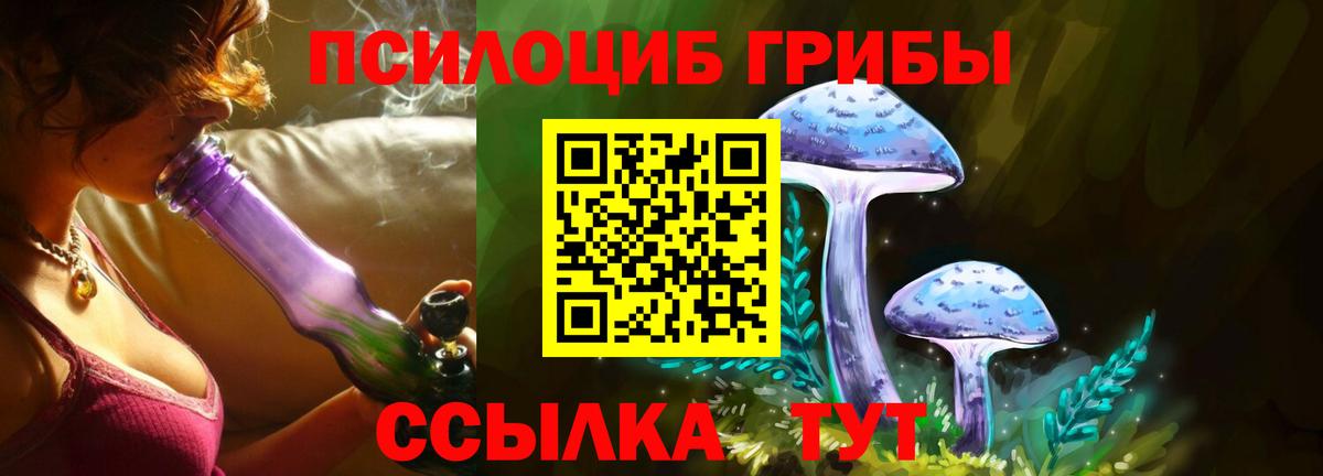 Галлюциногенные грибы прущие грибы Алушта